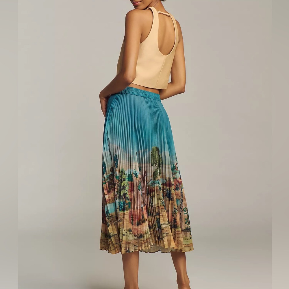 Ranna Gill Tuscany Pleated Midi Skirt Size Small NWOT Anthropologie Colorful - Picture 4 of 4